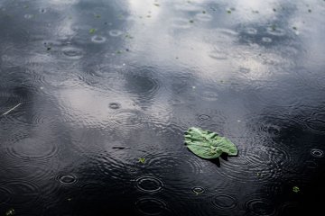 popular-news-img-1